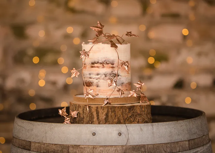 2ndcake_copperivy_bokeh.jpg Wedding cake